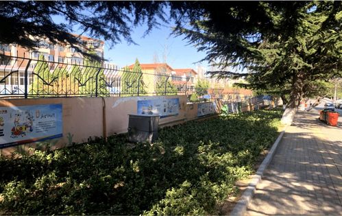 深耕城市綠化管理 加強裸露土地集中治理，提升城市生態品質