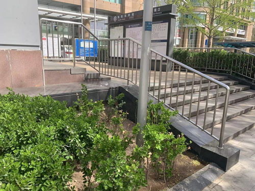 追蹤報(bào)道 城市綠化帶，犄角旮旯里的垃圾不見(jiàn)了——探訪(fǎng)城市綠化精細(xì)化管理的轉(zhuǎn)變